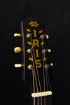 Iris DF Natural Relic Finish Acoustic Guitar