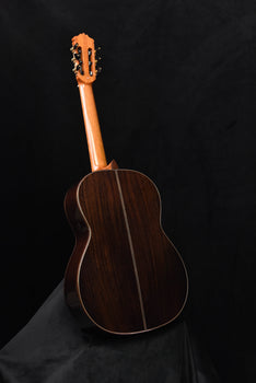 cordoba c10 cedar top classical guitar with case