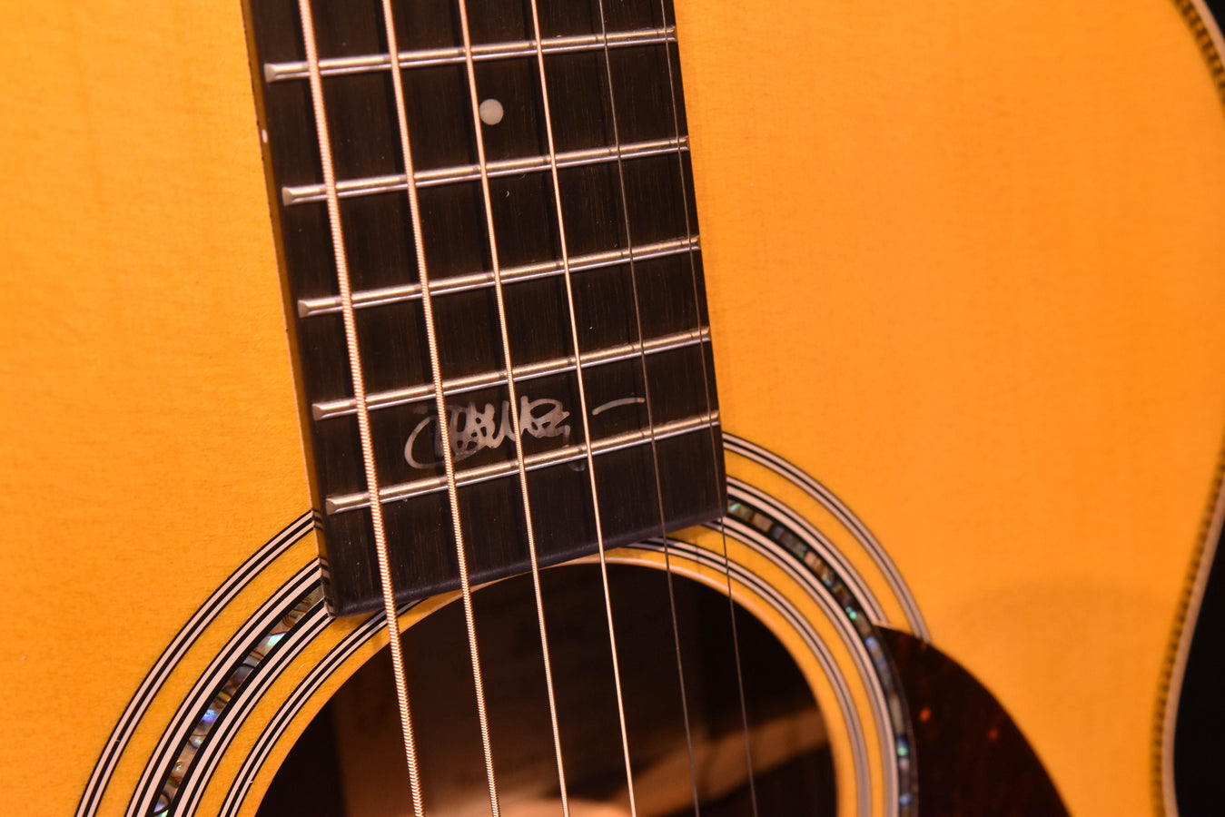 Acoustic-electric guitar fretboard close-up with marker inlays and printed logo