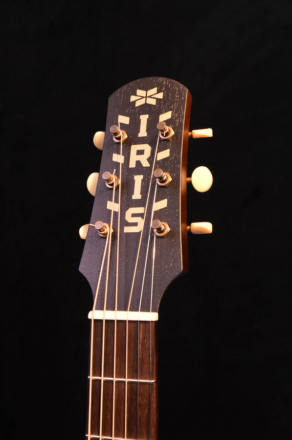 Iris OG all mahogany Acoustic Guitar