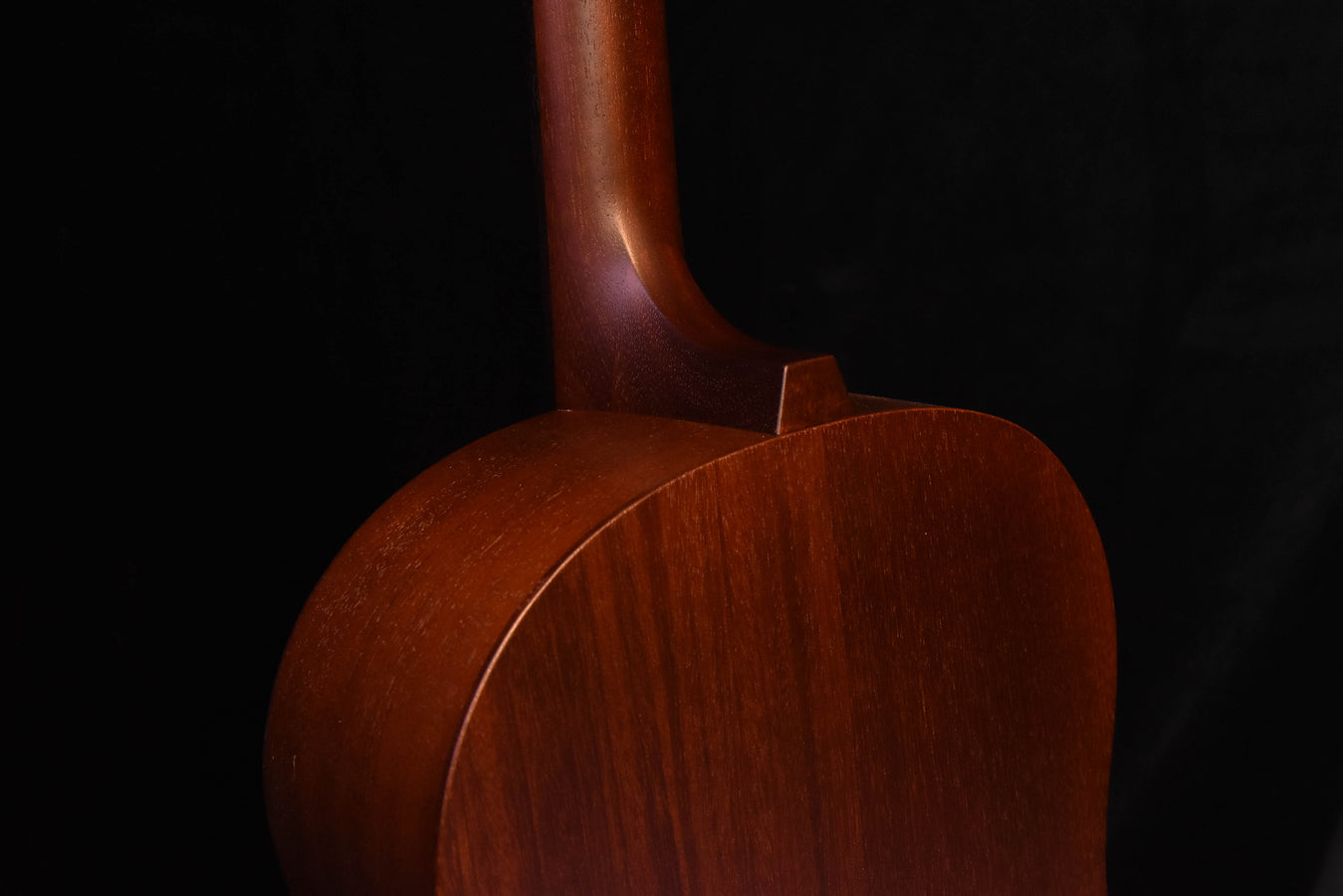 Iris OG all mahogany Acoustic Guitar