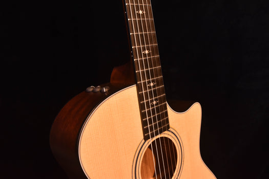 taylor 314ce-n  nylon string crossover factory demo