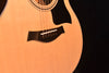 Taylor 314CE Special Edition Rosewood Acoustic Guitar