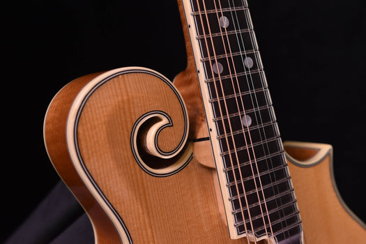 bourgeois m5-f f style mandolin