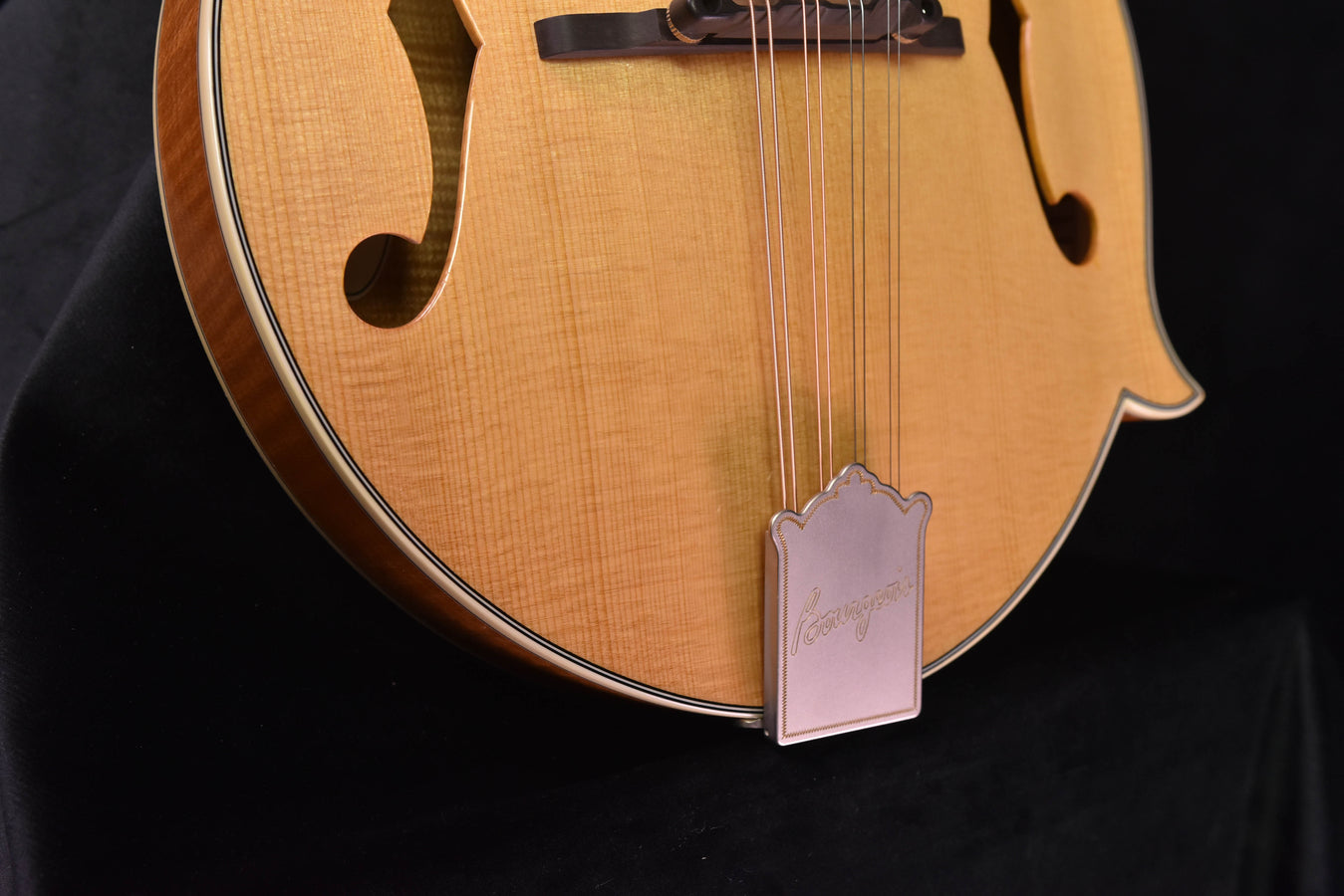 Bourgeois M5-F F Style Mandolin