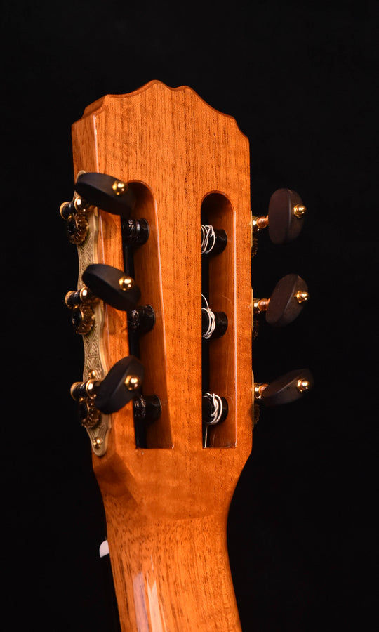 Guitarras Romero Flamenco negra Nylon String Guitar