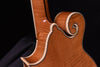 Bourgeois M5-F F Style Mandolin