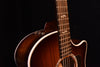 Taylor 424CE Special Edition All Walnut Acoustic Guitar