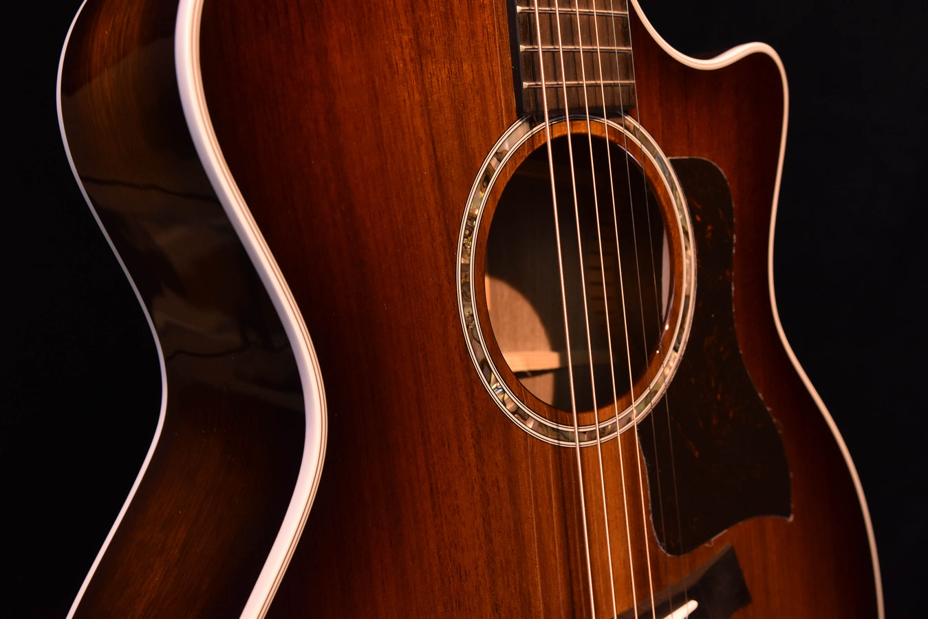 Taylor 424CE Special Edition All Walnut Acoustic Guitar