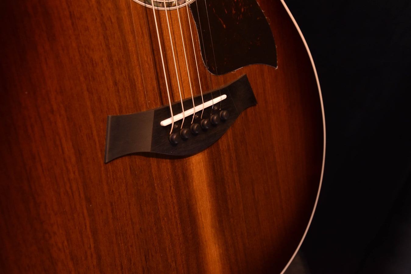 Taylor 424CE Special Edition All Walnut Acoustic Guitar