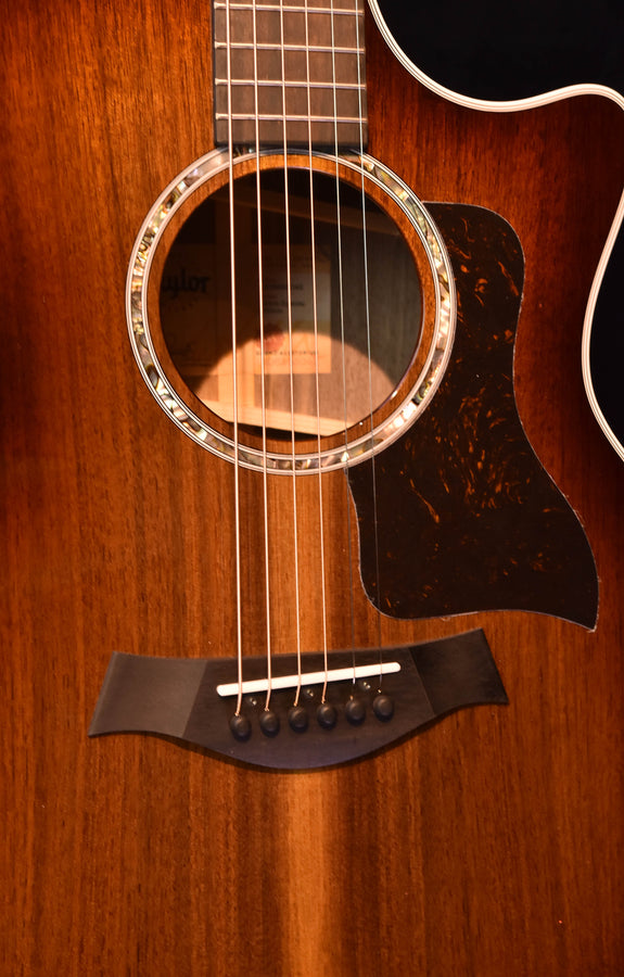 Taylor 424CE Special Edition All Walnut Acoustic Guitar