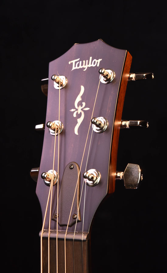 Taylor 424CE Special Edition All Walnut Acoustic Guitar