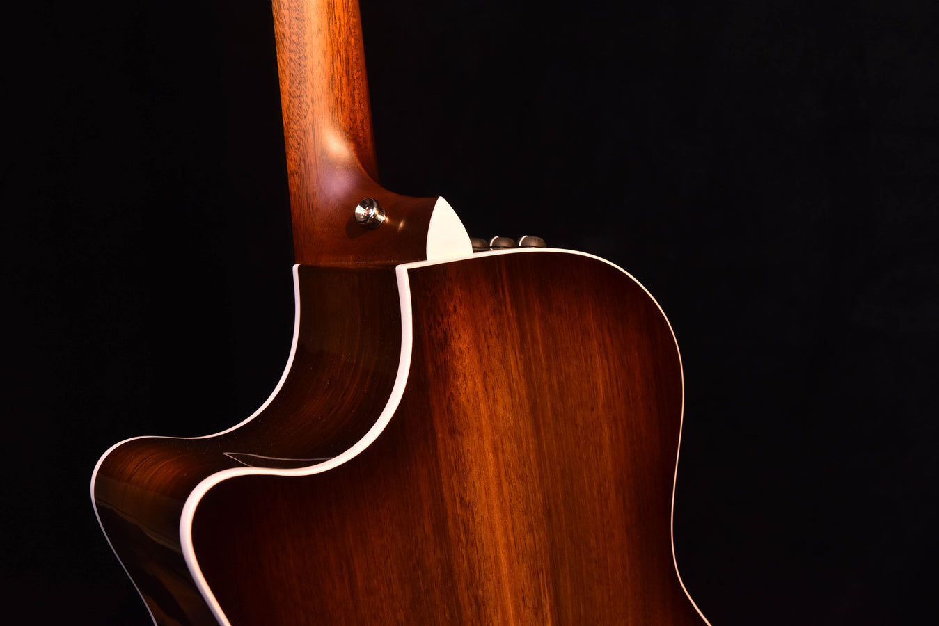 Taylor 424CE Special Edition All Walnut Acoustic Guitar