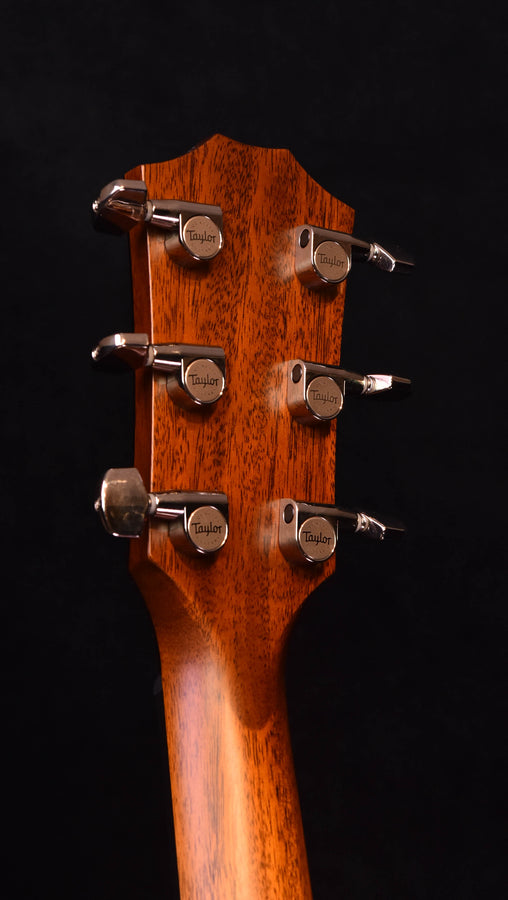 Taylor 424CE Special Edition All Walnut Acoustic Guitar