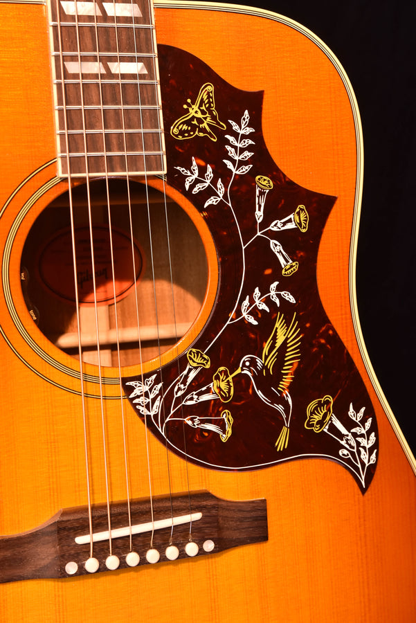 Acoustic guitar close-up: soundhole rosette and bird-shaped pickguard on cherry body