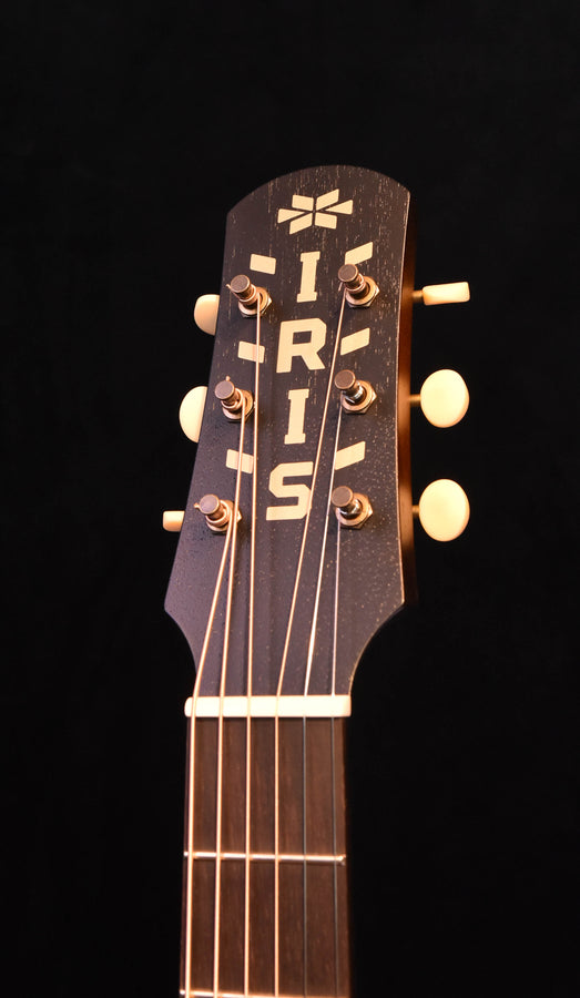 Iris DF sunburst Adirondack Spruce top Acoustic Guitar