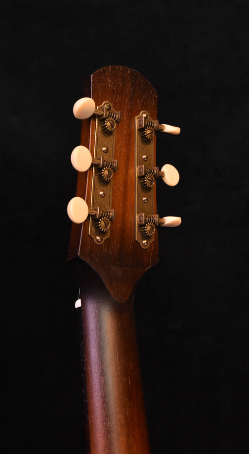 Iris DF sunburst Adirondack Spruce top Acoustic Guitar