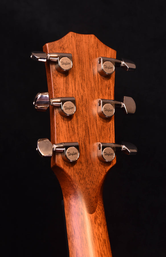 Taylor 414CE-R LTD Vine Inlay Limited Edition Acoustic Guitar