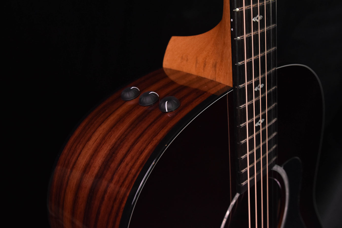 Taylor 217E-SB Plus LTD 50th Anniversary Acoustic Guitar