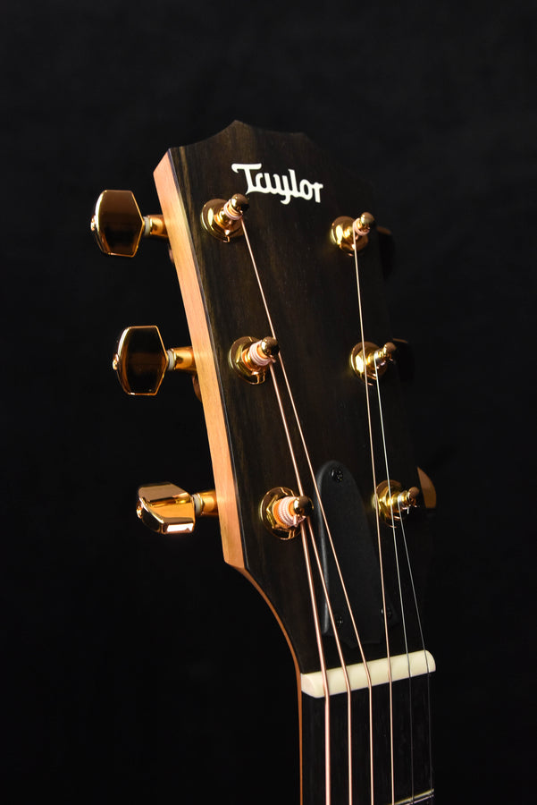 Taylor 217E-SB Plus LTD 50th Anniversary Acoustic Guitar