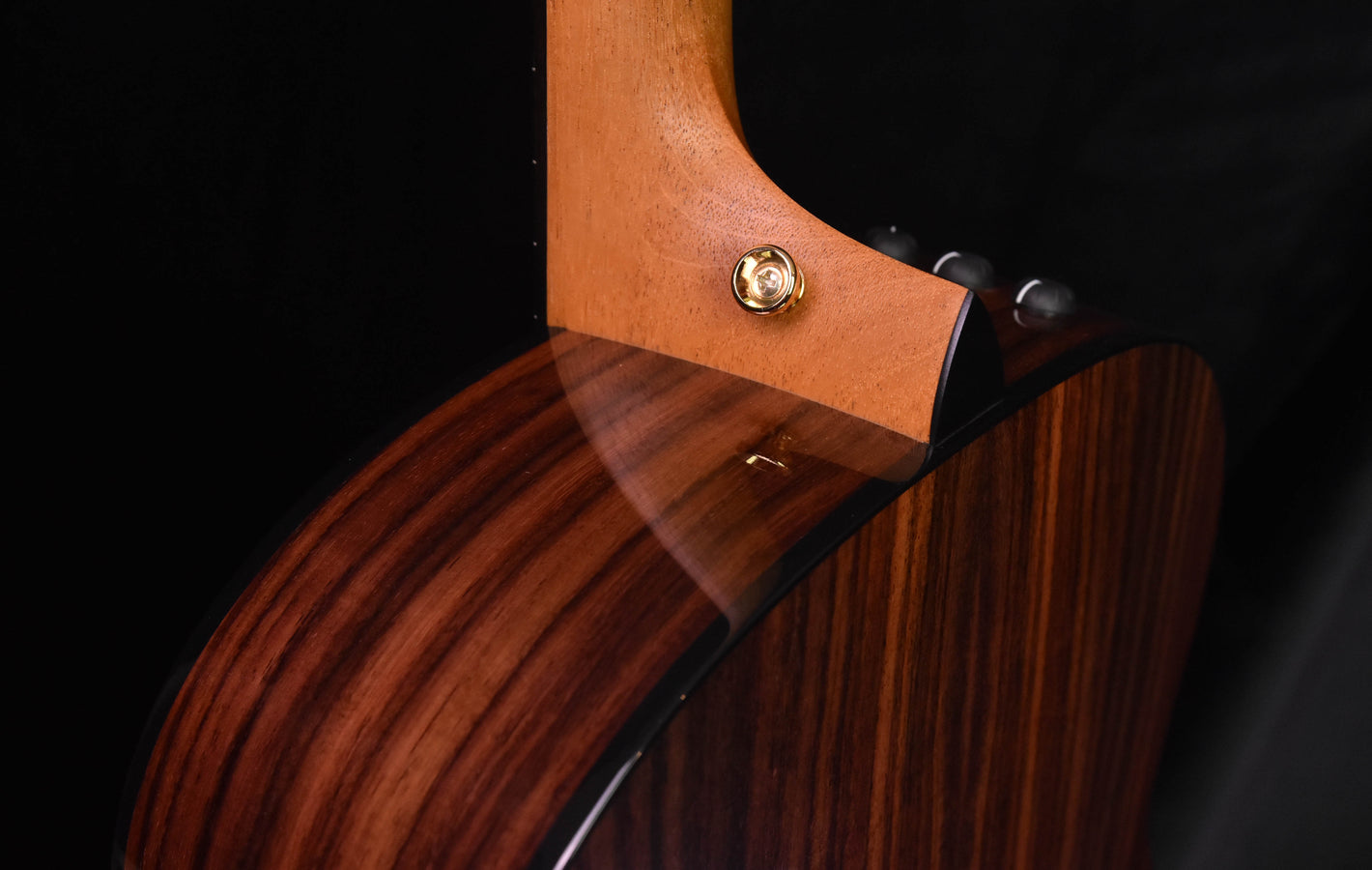 Taylor 217E-SB Plus LTD 50th Anniversary Acoustic Guitar