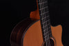 Furch Grand Nylon String Crossover Guitar GNc4-CR Crossover Nylon String Guitar
