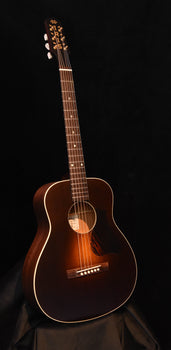iris dan erlewine model de-11 acoustic guitar