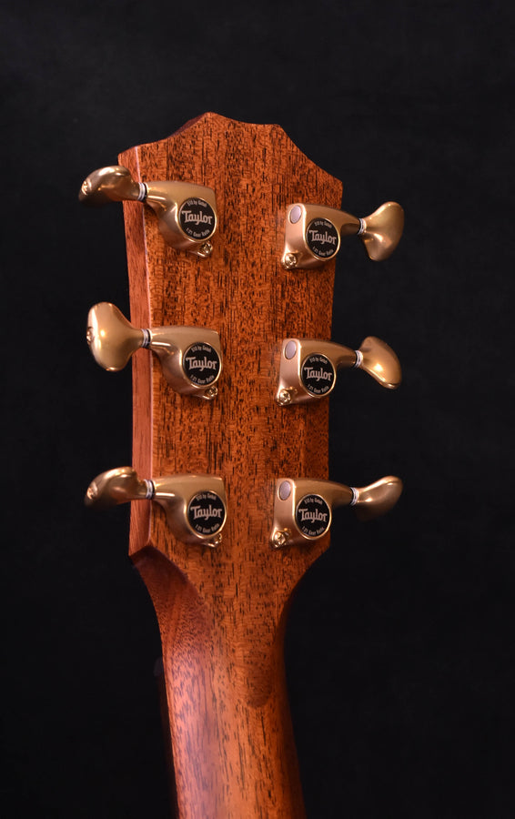 Acoustic-electric guitar headstock close-up with six gold tuners and Taylor logo