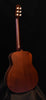 Iris Dan Erlewine Model DE-11 Acoustic Guitar