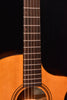 Used Breedlove Concertina Performer Aged Top