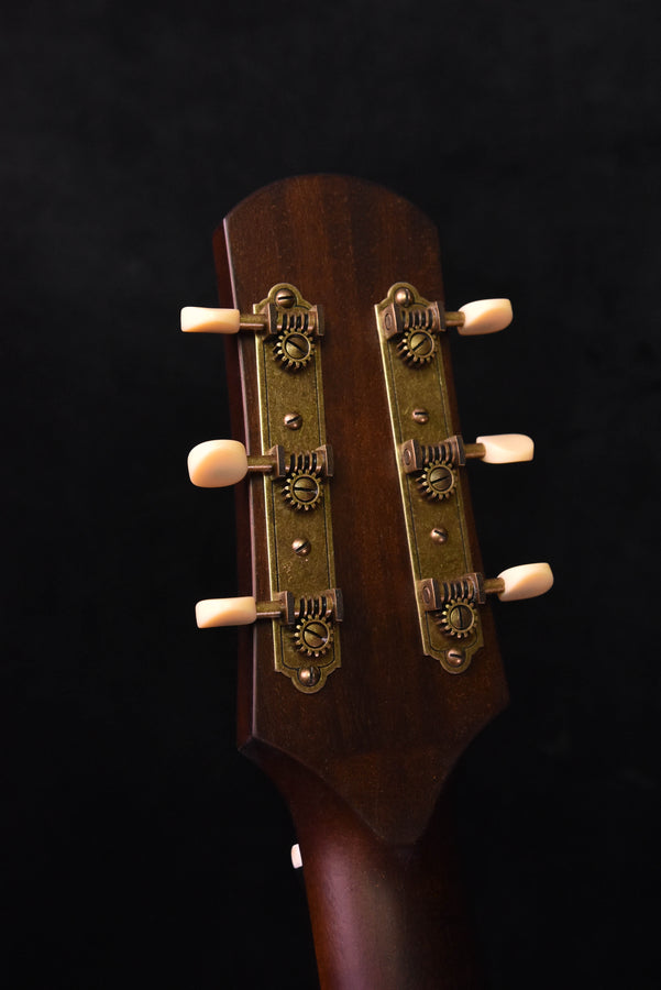 Iris DF Natural Relic Finish Acoustic Guitar