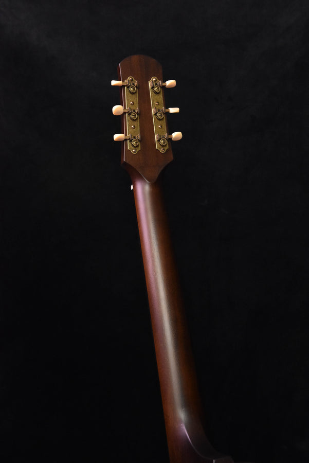 Iris DF Natural Relic Finish Acoustic Guitar