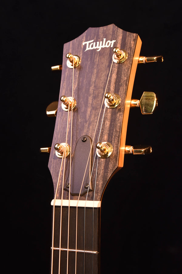 Taylor 224CE-K DLX Acoustic Cutaway Guitar- FACTORY DEMO