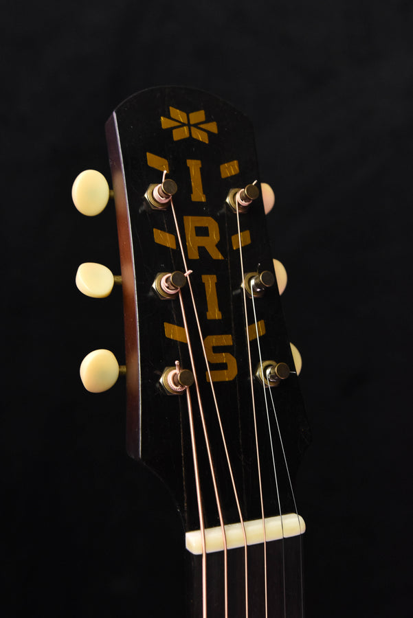 Iris DF Burst with Ivoroid Binding- Distressed (Aged) Finish- Sunburst Acoustic Guitar