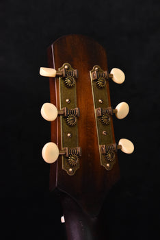 iris df burst with ivoroid binding- distressed (aged) finish- sunburst acoustic guitar