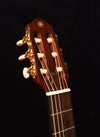 Yamaha SLG200NW. Nylon String Silent Guitar