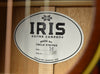 Iris DF Burst with Ivoroid Binding- Distressed (Aged) Finish- Sunburst Acoustic Guitar