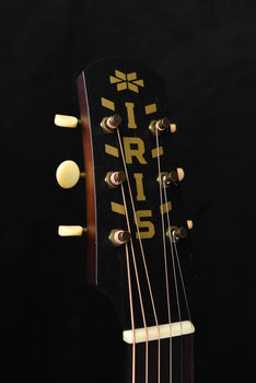 iris ms-00 burst w/ ivoroid binding acoustic guitar