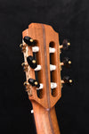Lowden S25J Nylon String Red Cedar and Rosewood Cutaway Nylon String Crossover Guitar