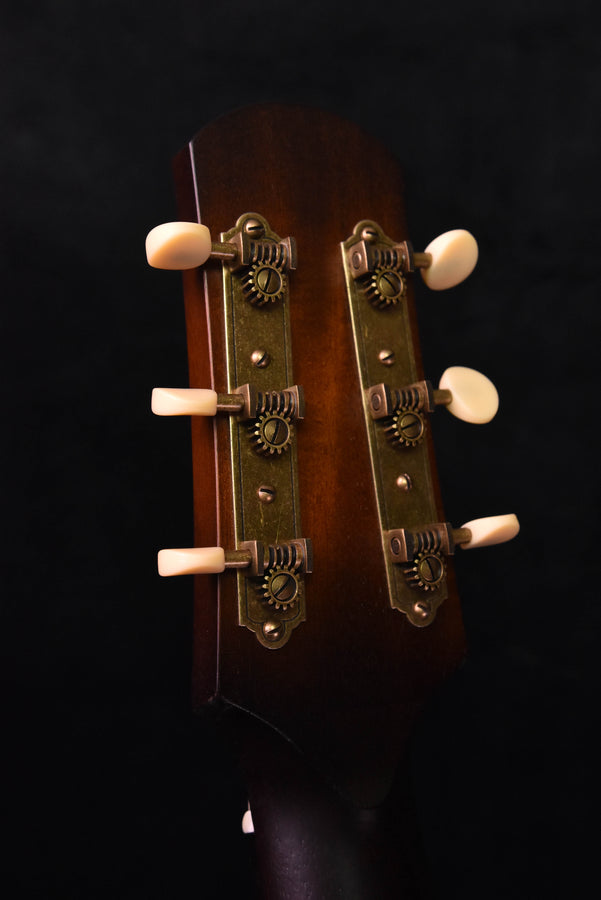 Iris MS-00 Burst w/ Ivoroid Binding Acoustic Guitar