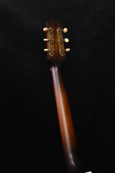 iris ms-00 burst w/ ivoroid binding acoustic guitar