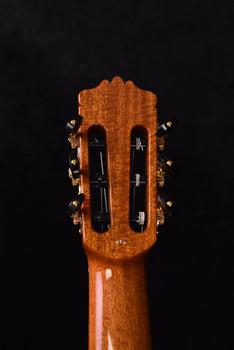 cordoba c10 cedar top classical guitar with case