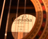 Cordoba Friederich Luthier Select Classical Guitar- Cedar Top/ Indian Rosewood