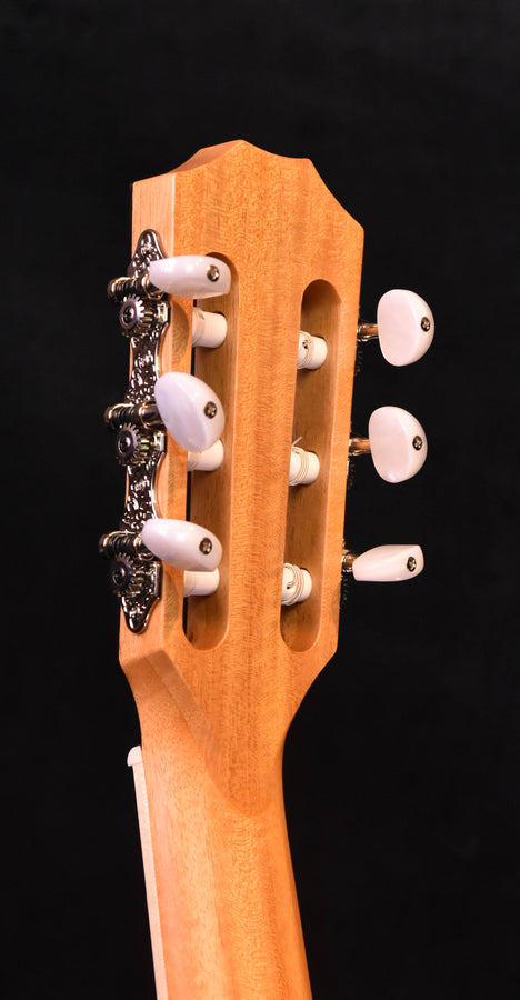 Taylor 814CE-N Nylon String Crossover Guitar