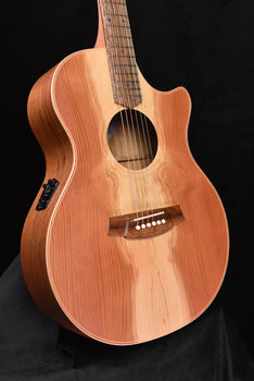 cole clark an2ec redwood blackwood acoustic guitar ccan2ec-rdbl