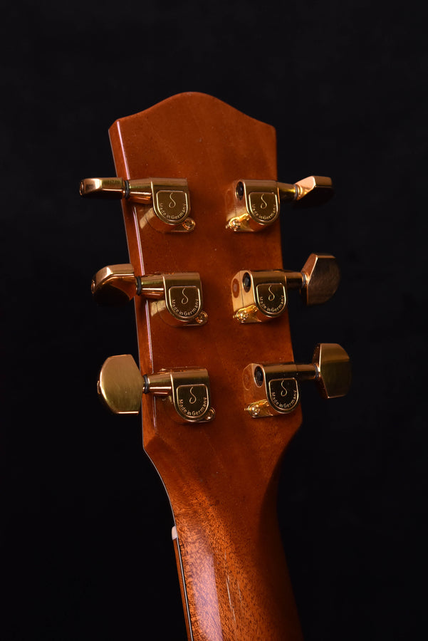 Acoustic guitar headstock front, gold tuners on a dark wood face