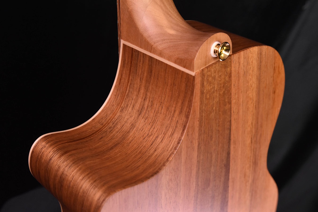 Cole Clark AN2EC Redwood Blackwood Acoustic Guitar CCAN2EC-RDBL