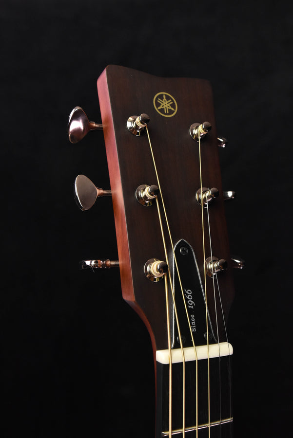 Yamaha FSX5 Acoustic/Electric Guitar