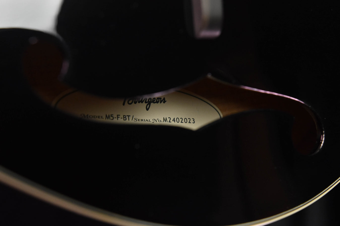 Bourgeois M5-F "Blacktop"F Style Mandolin