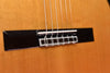 Cordoba C10 Cedar Top Classical Guitar with Case